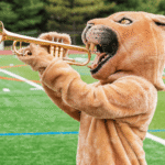 1Untitled design (34)